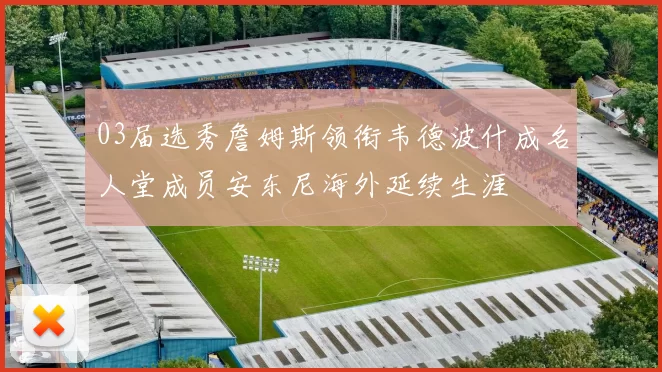 03届选秀詹姆斯领衔韦德波什成名人堂成员安东尼海外延续生涯