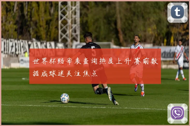 世界杯赔率表查询热度上升 赛前数据成球迷关注焦点
