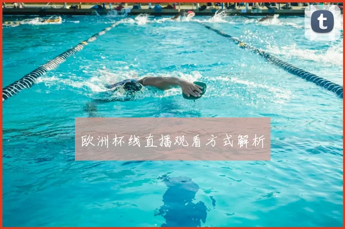 欧洲杯线直播观看方式解析
